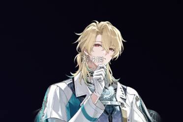 鸣潮陆赫斯声骸及词条选择推荐