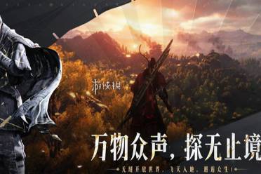 燕云十六声赤心一寸套装价格