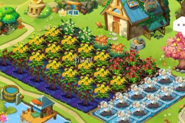 qq农场黑魔晶获取方法