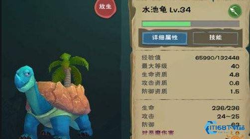 创造与魔法水池龟饲料要多少包稳