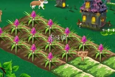 qq经典农场在线玩入口