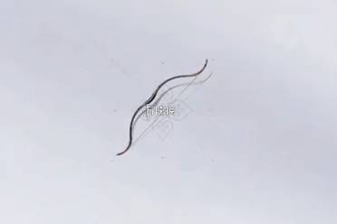 燕云十六声碎纹雕弓追溯攻略