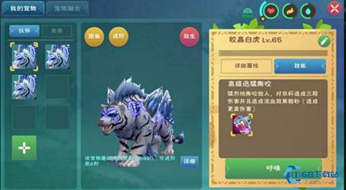 创造与魔法白晶虎怎么融合