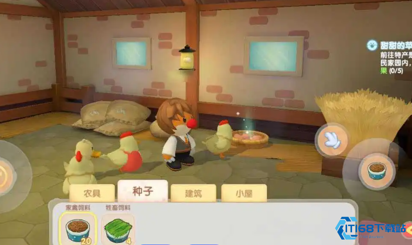 闪亮梳毛秘技：高效提升母鸡产蛋率实战指南