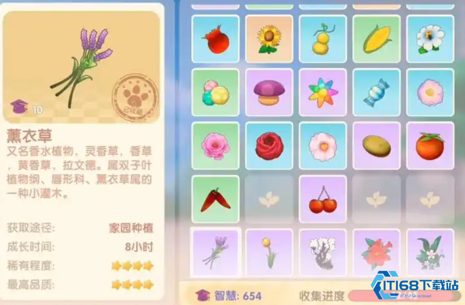 摩尔庄园薰衣草种子怎么买