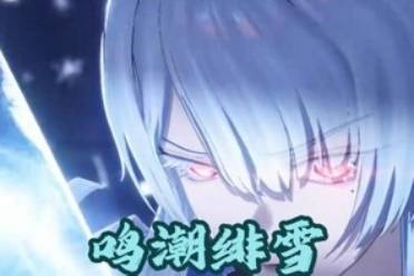 鸣潮绯雪最强配队阵容推荐